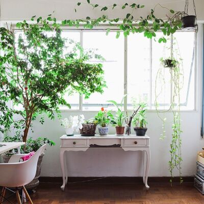 Encontro de histórias | Capítulo 2