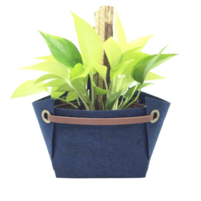 CACHEPÔ GOMA APOIO G