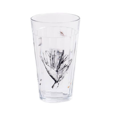 COPO AMERICANO BOTÂNICO