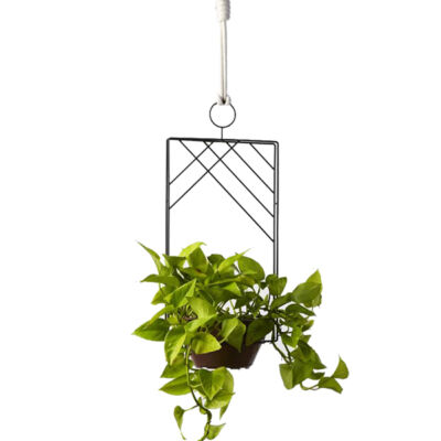 Guirlanda retangular para plantas