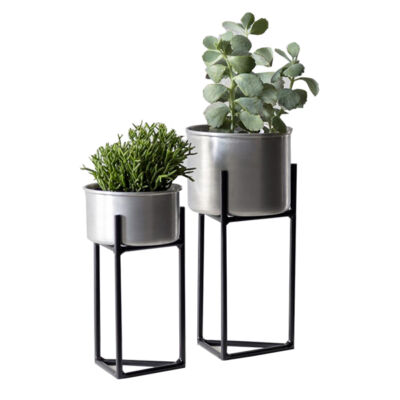 Dupla de vasos Apollo