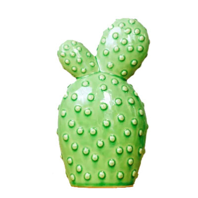 Cactus Decorativo