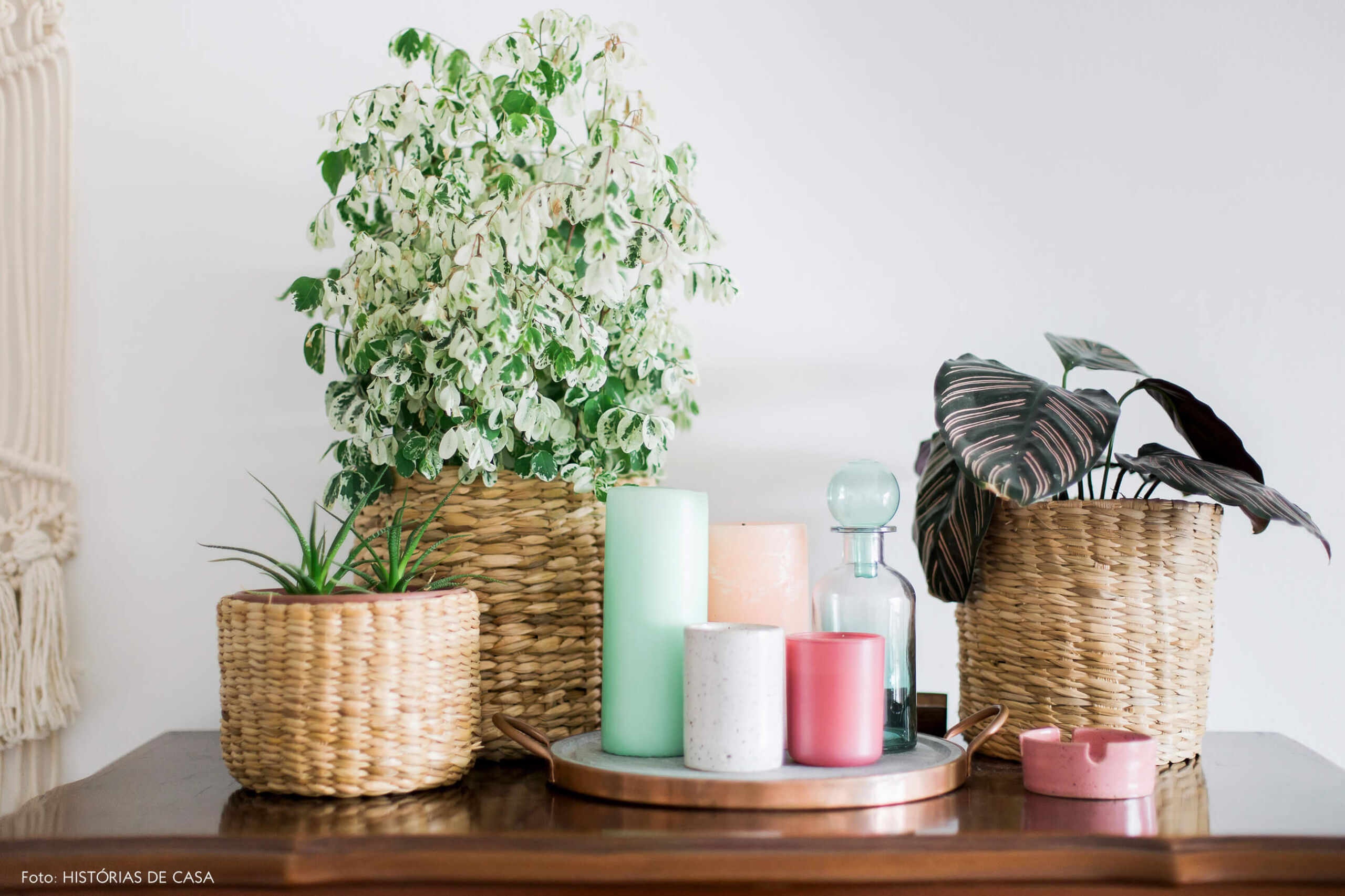 Cestos usados como cachepô para plantas