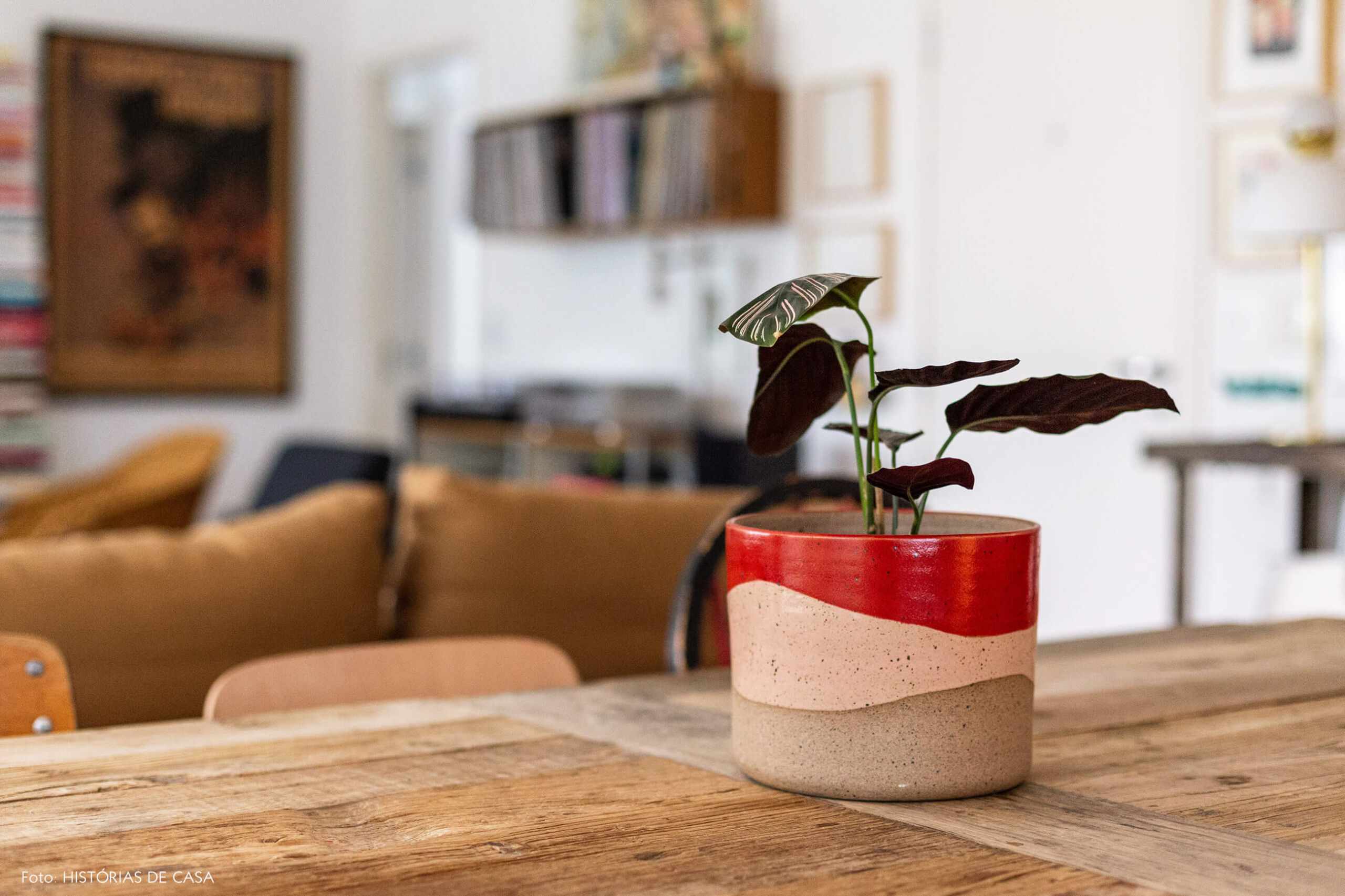 Cachepô de cerâmica com plantas