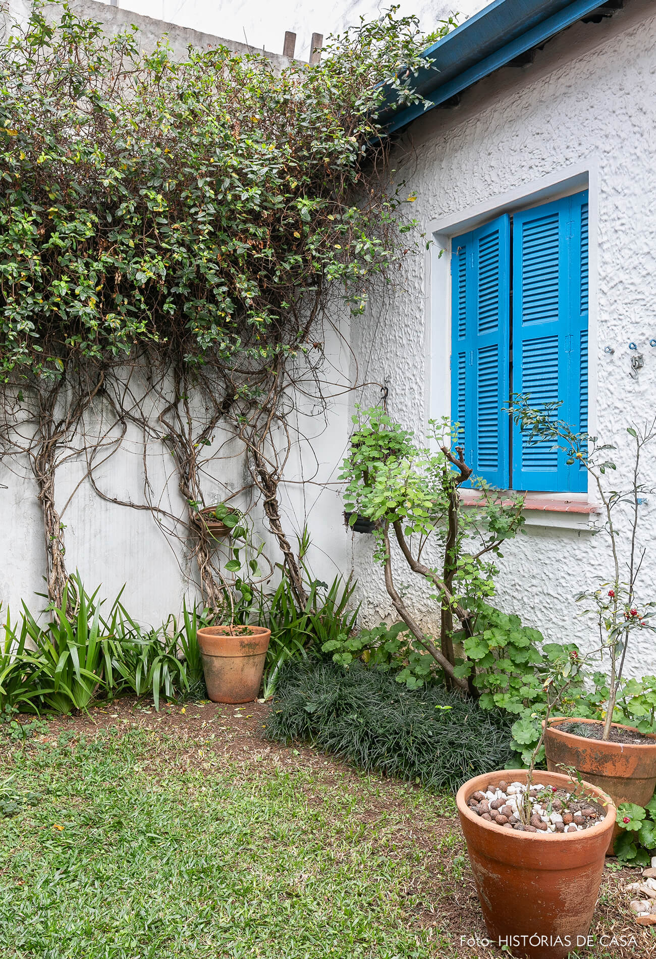 Quintal de casa com janelas pintadas de azul