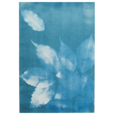 Sem título [Série 'Folhas']