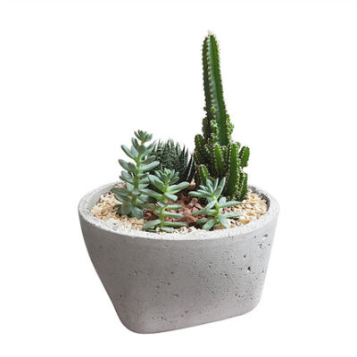 VASO DE CIMENTO RÚSTICO BACIA Ø19 SEM FURO