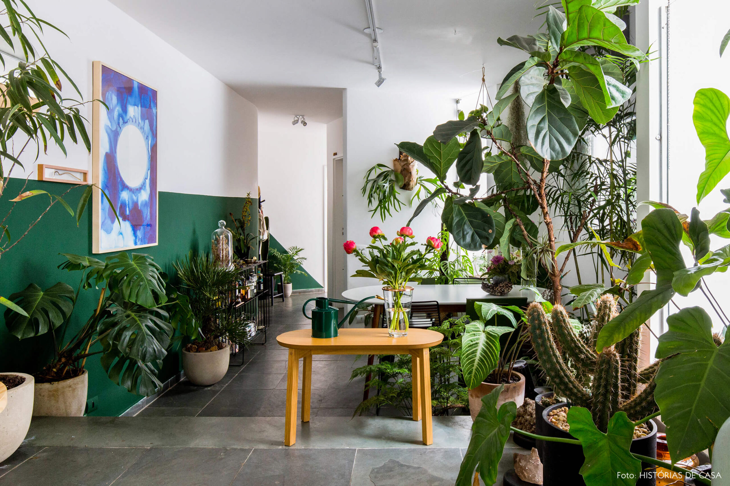 Sala com plantas e paredes pintadas de verde