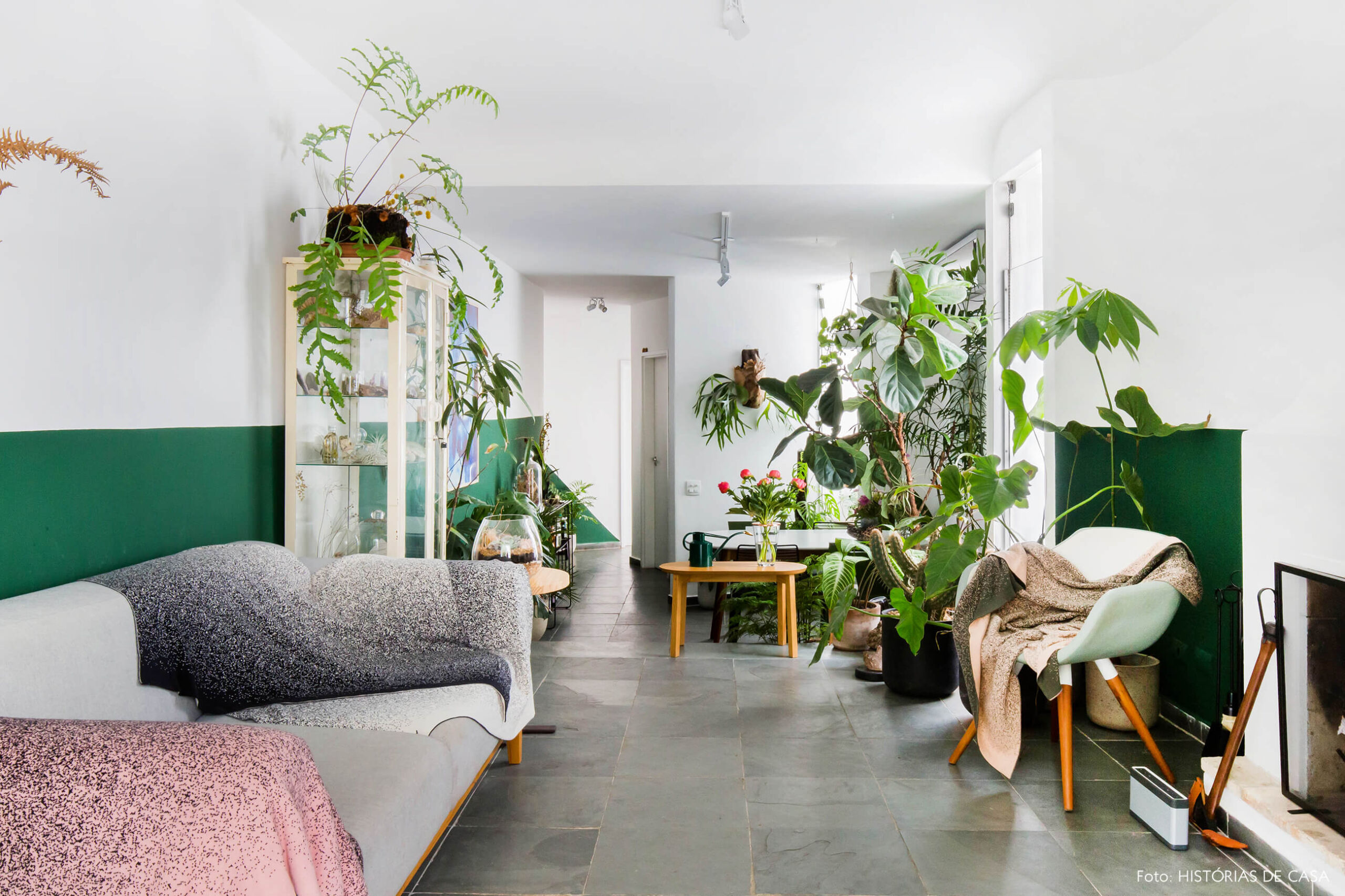 Sala com muitas plantas e piso cinza
