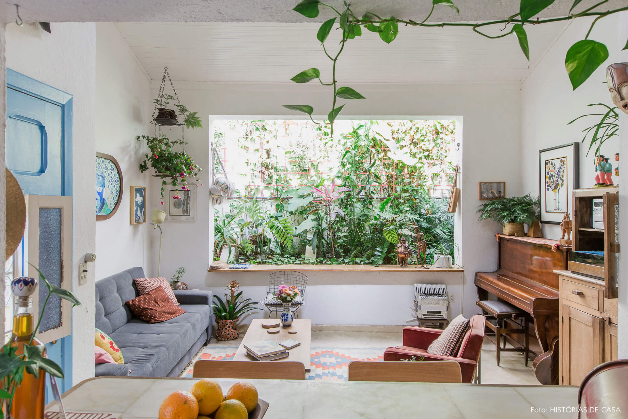 Sala com jardim interno e decoração colorida