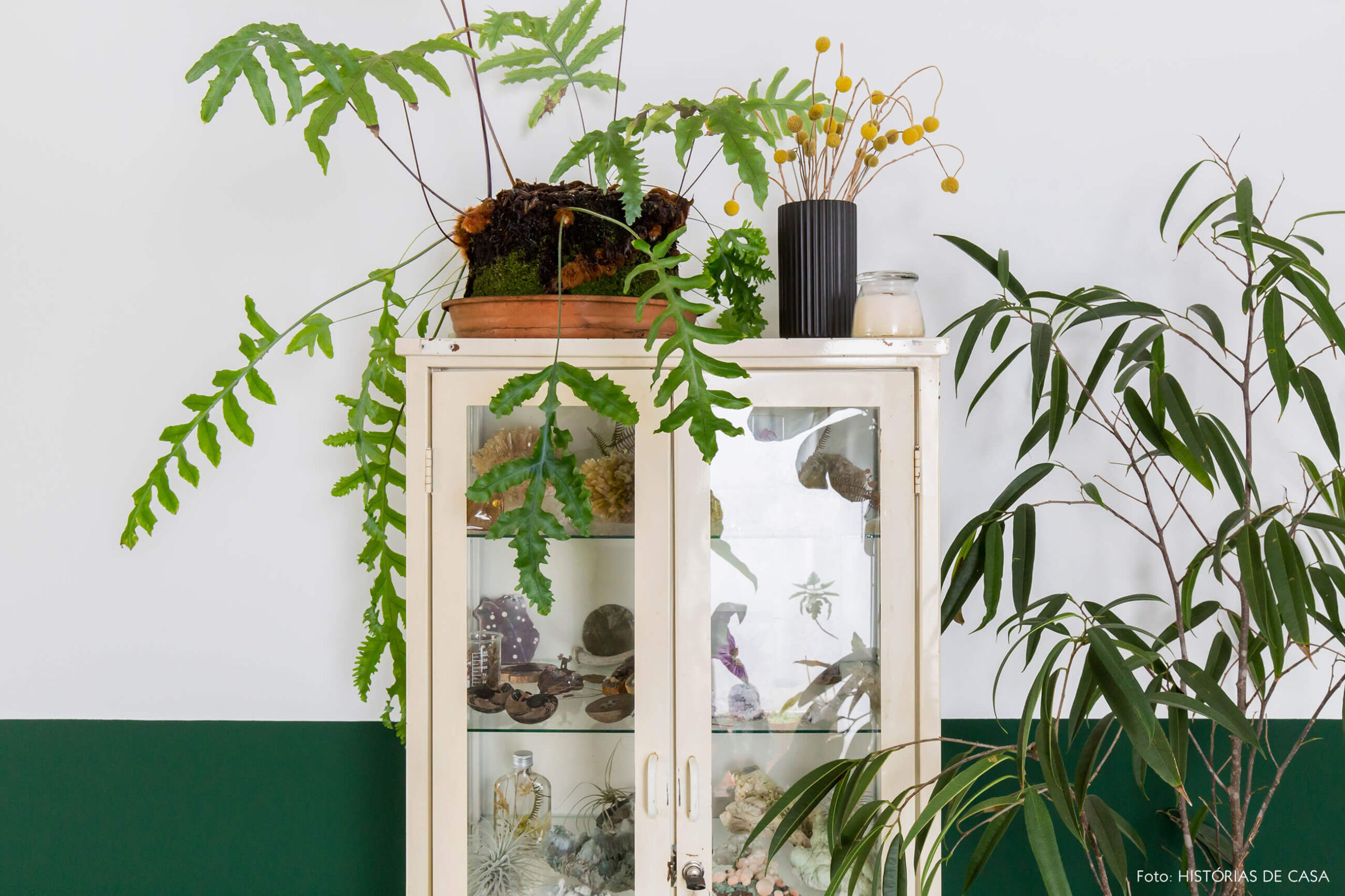 Meia parede verde e armário de farmácia vintage