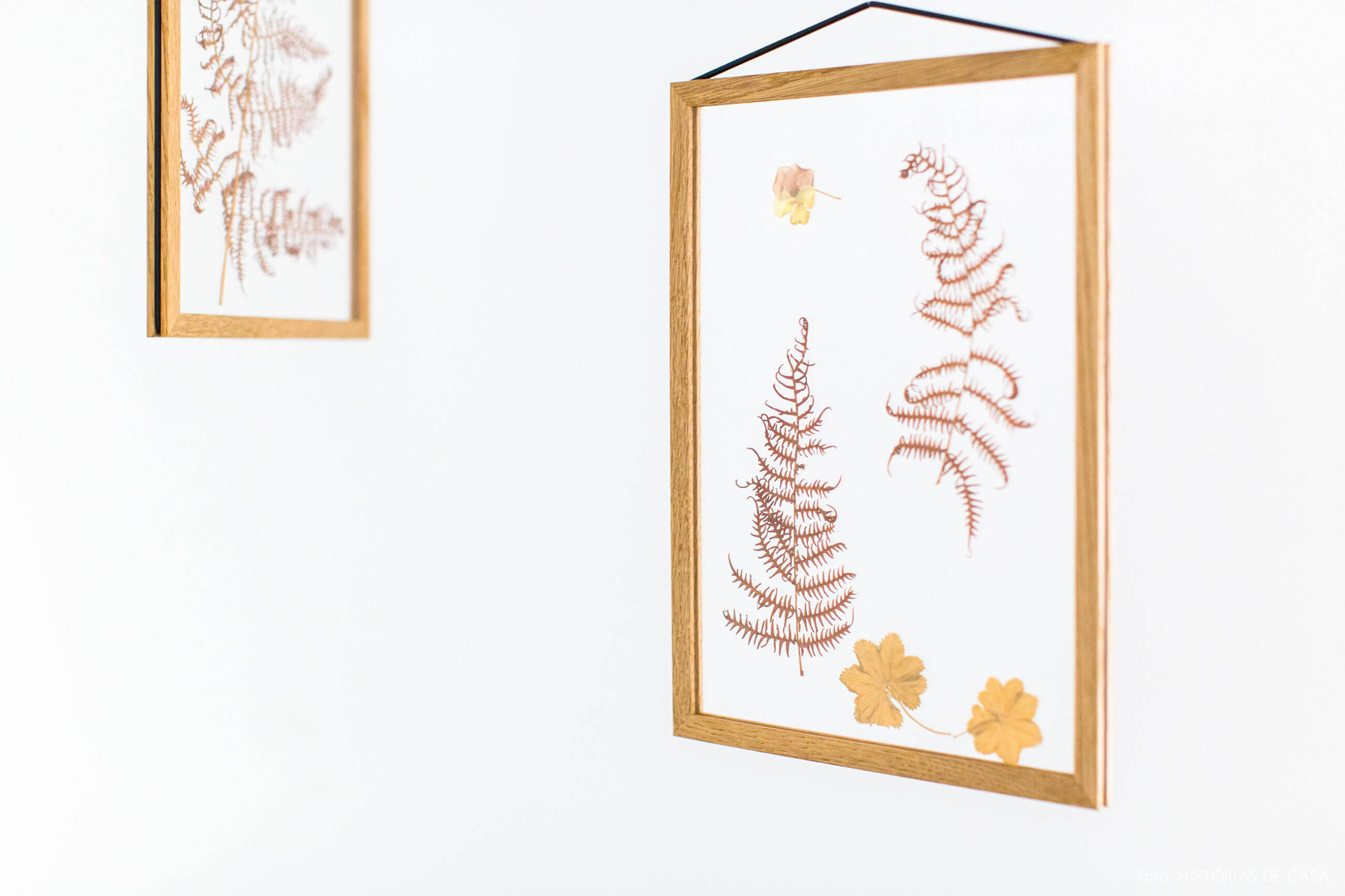 Quadros com flores secas e molduras suspensas