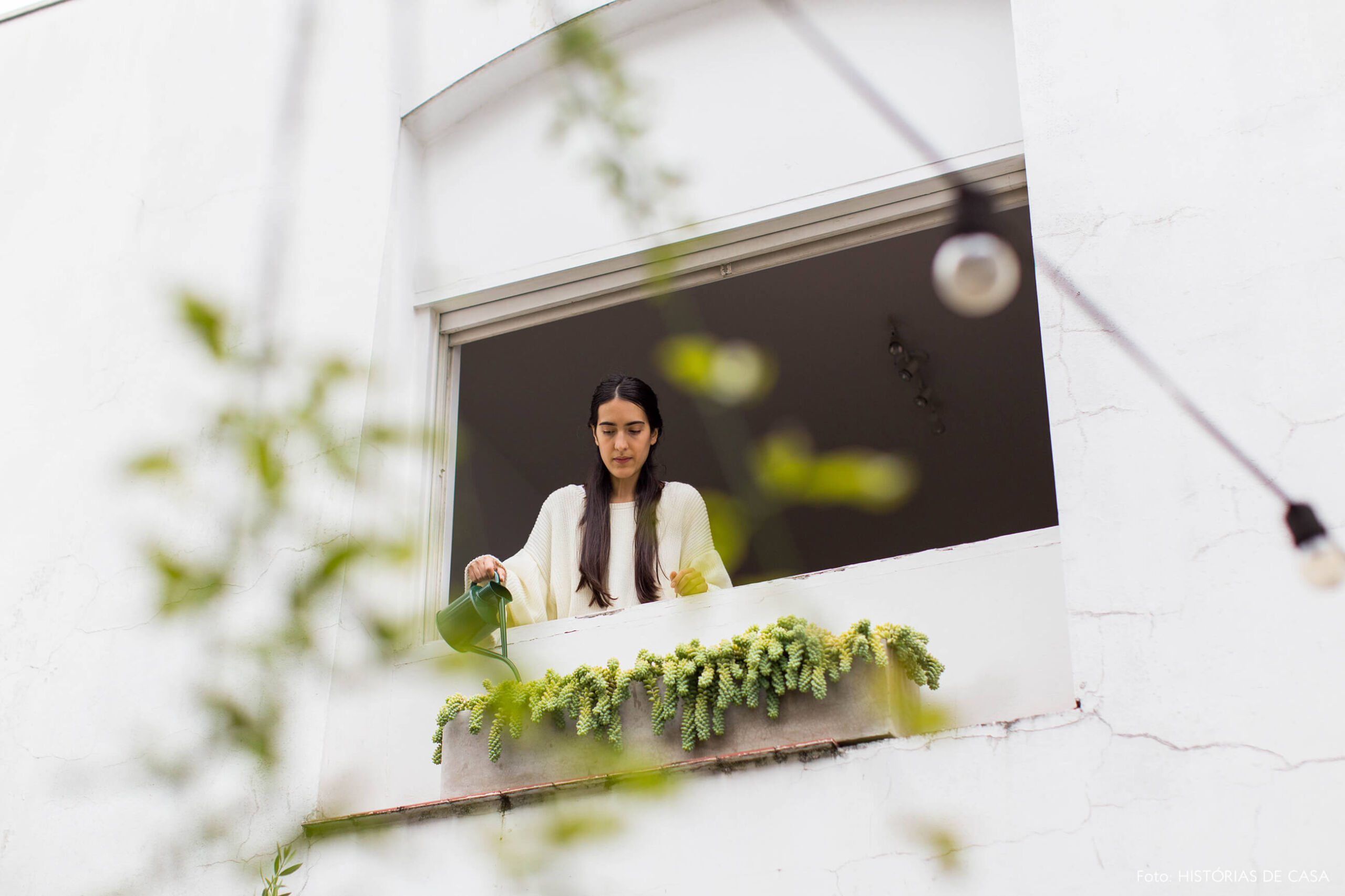 Casa do casal FLO Atelier Botanico, plantas na janela