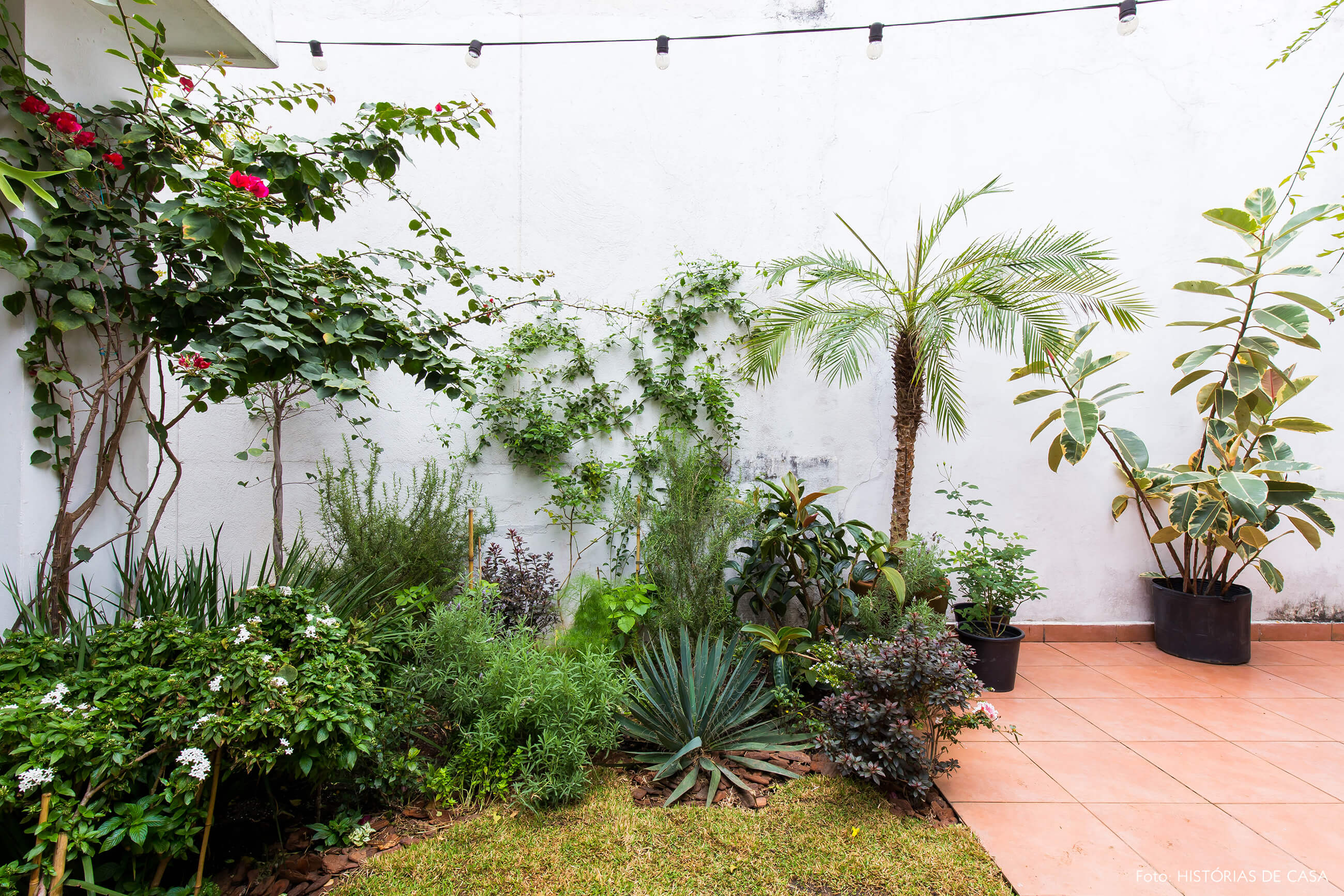 Casa com jardim dos fundos com ervas e temperos