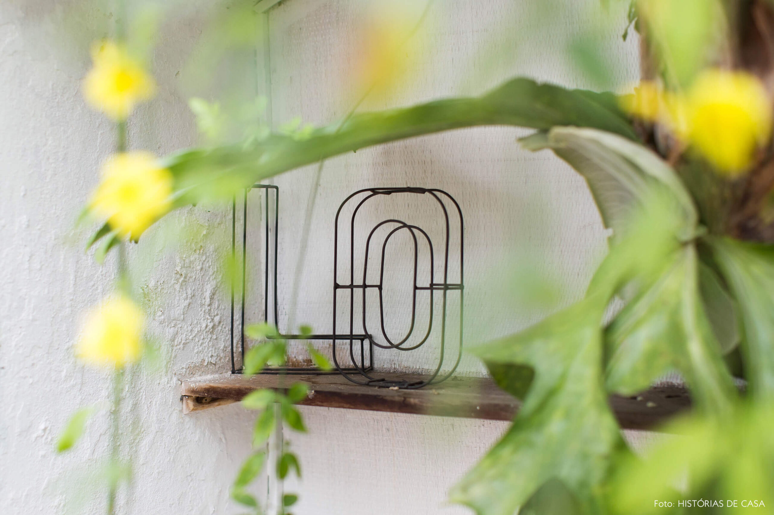 Jardim do FLO com muitas plantas e trepadeiras