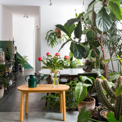 Sala cheia de plantas na casa do FLO