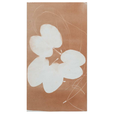 Sem título [Série 'Folhas']