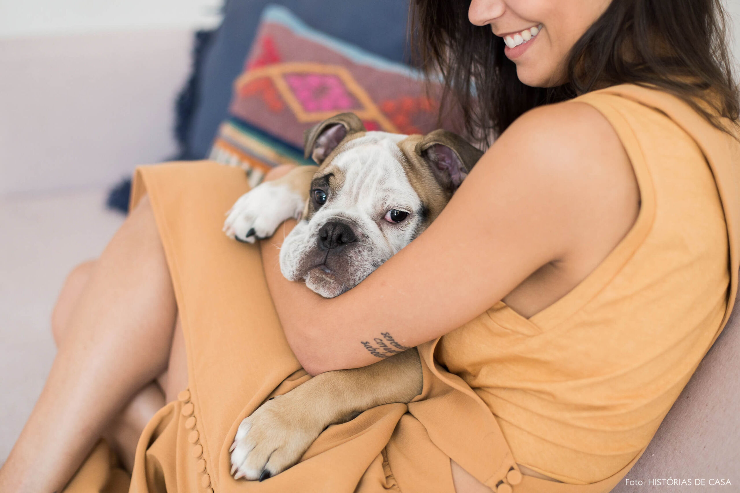 Casa com decoração colorida e cachorro