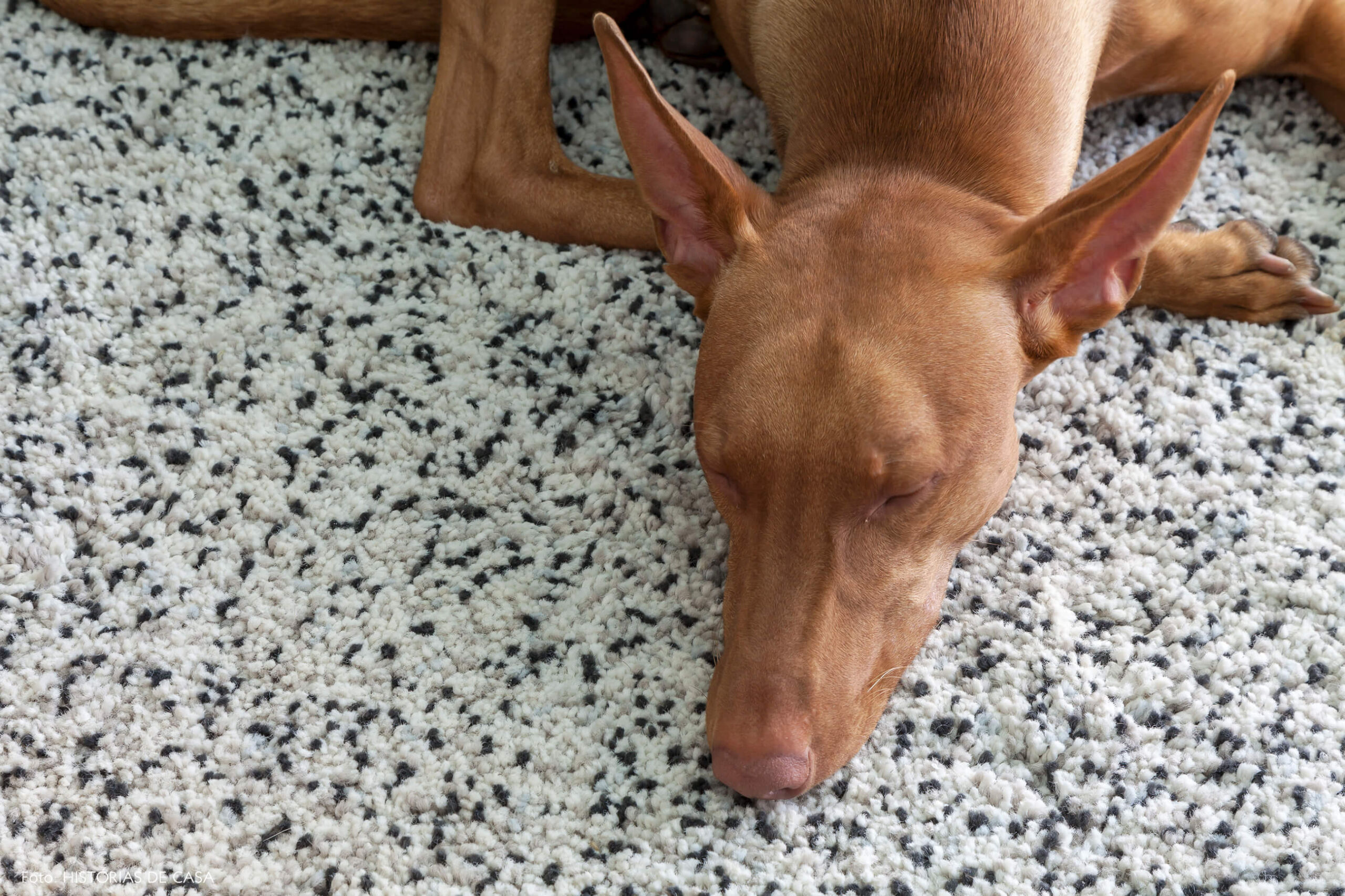 Tapete preto e branco na sala