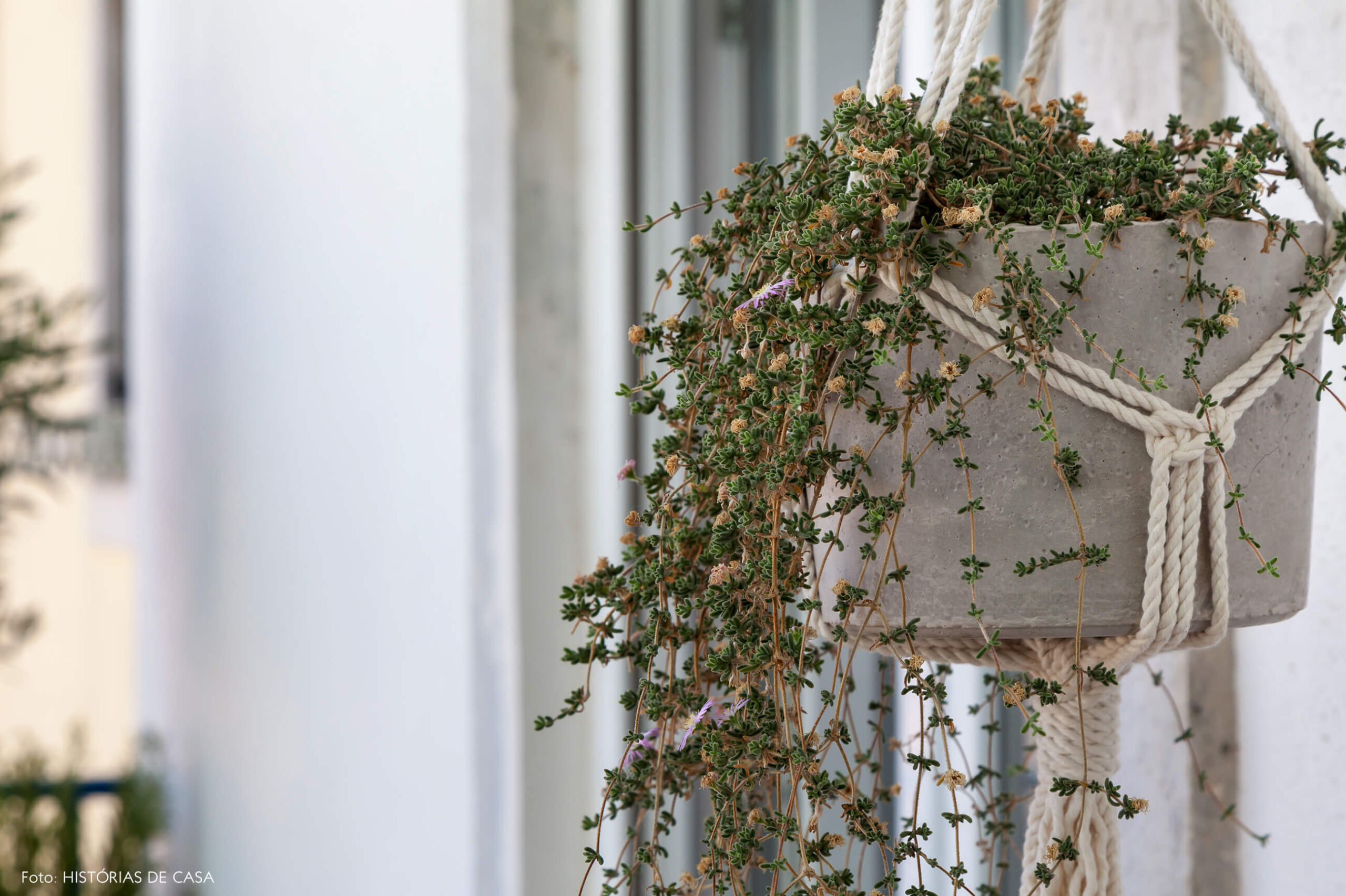 Apartamento em Lisboa com varanda e plantas