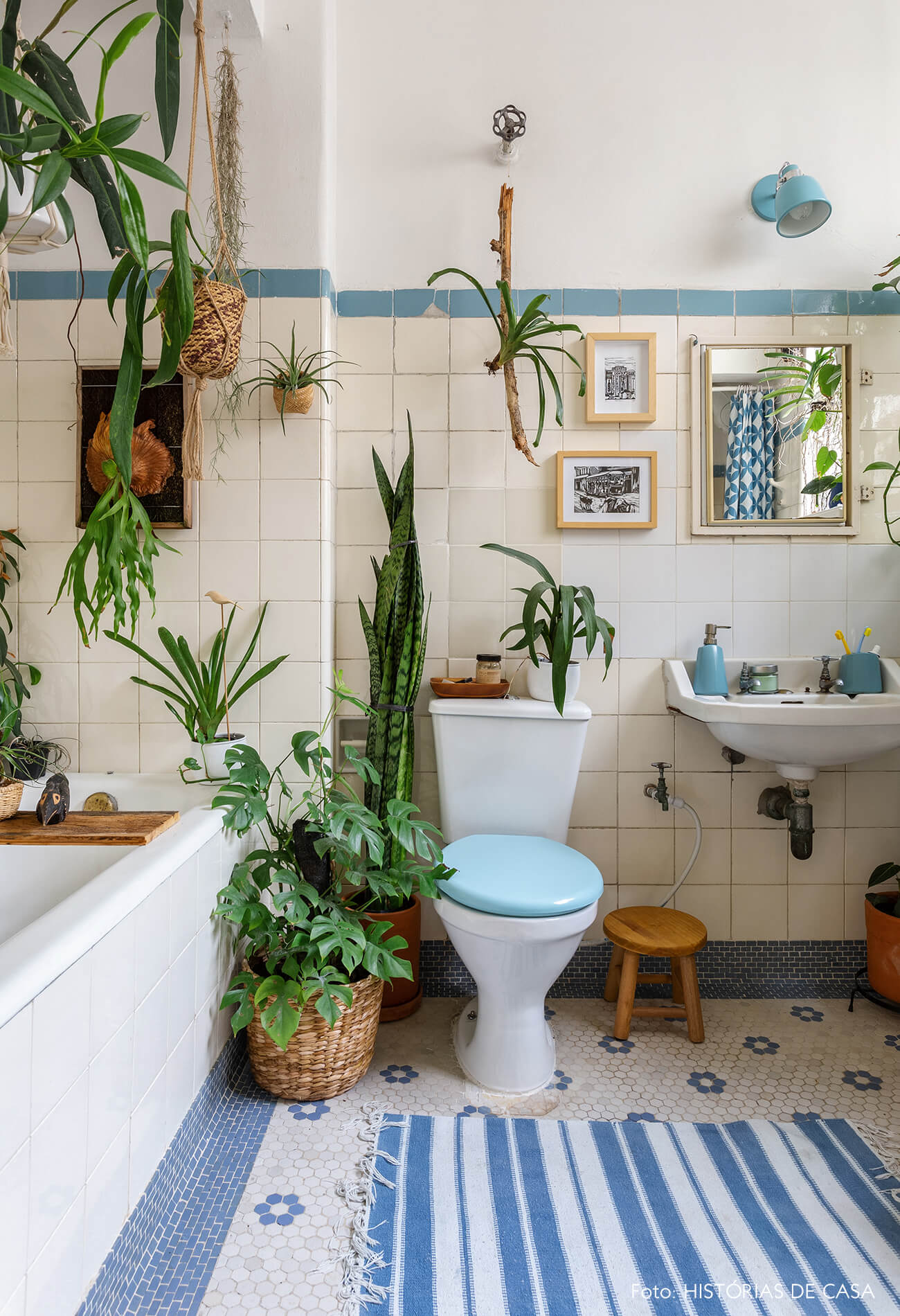 Banheiro vintage com muitas plantas