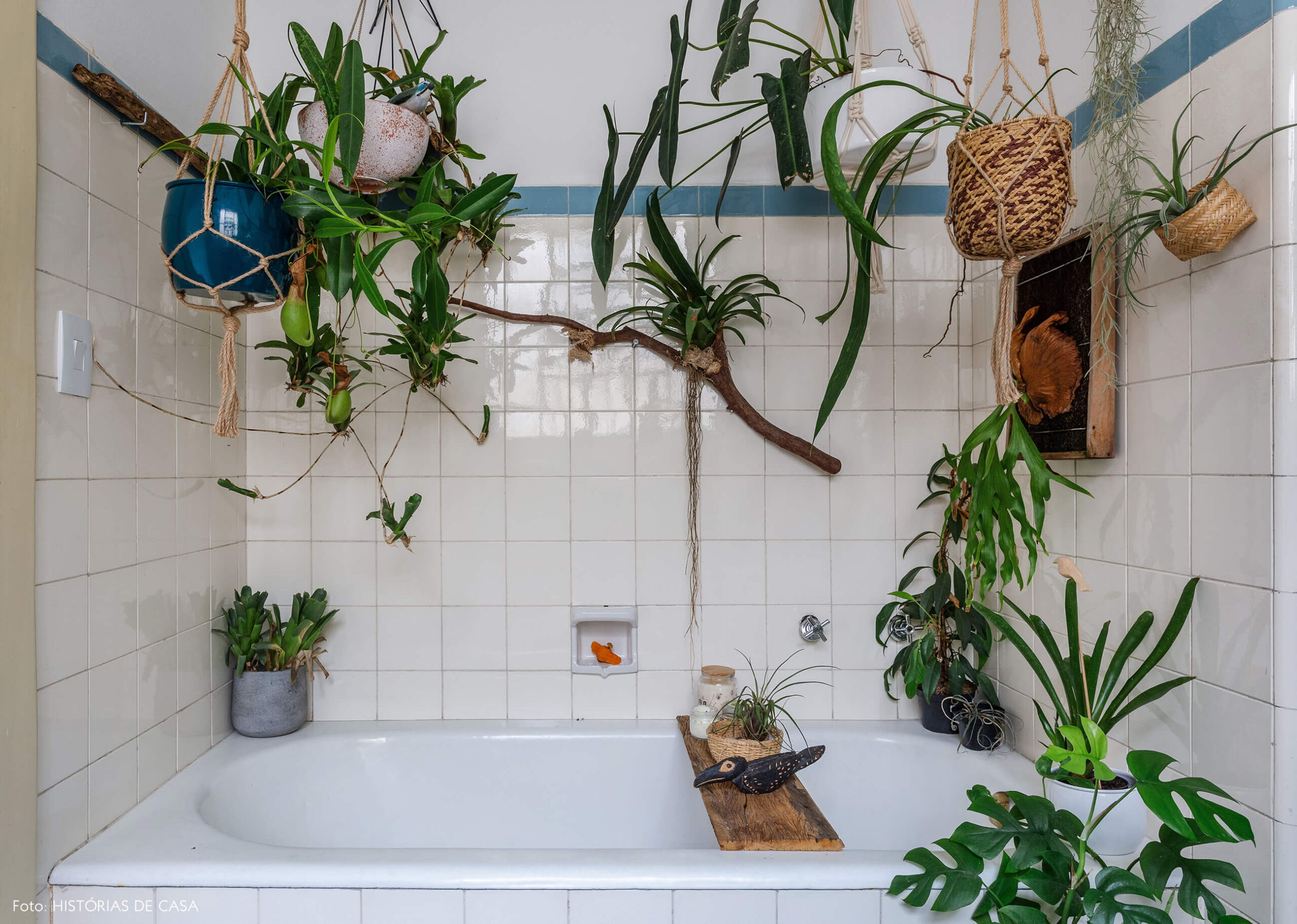 Banheiro vintage com muitas plantas