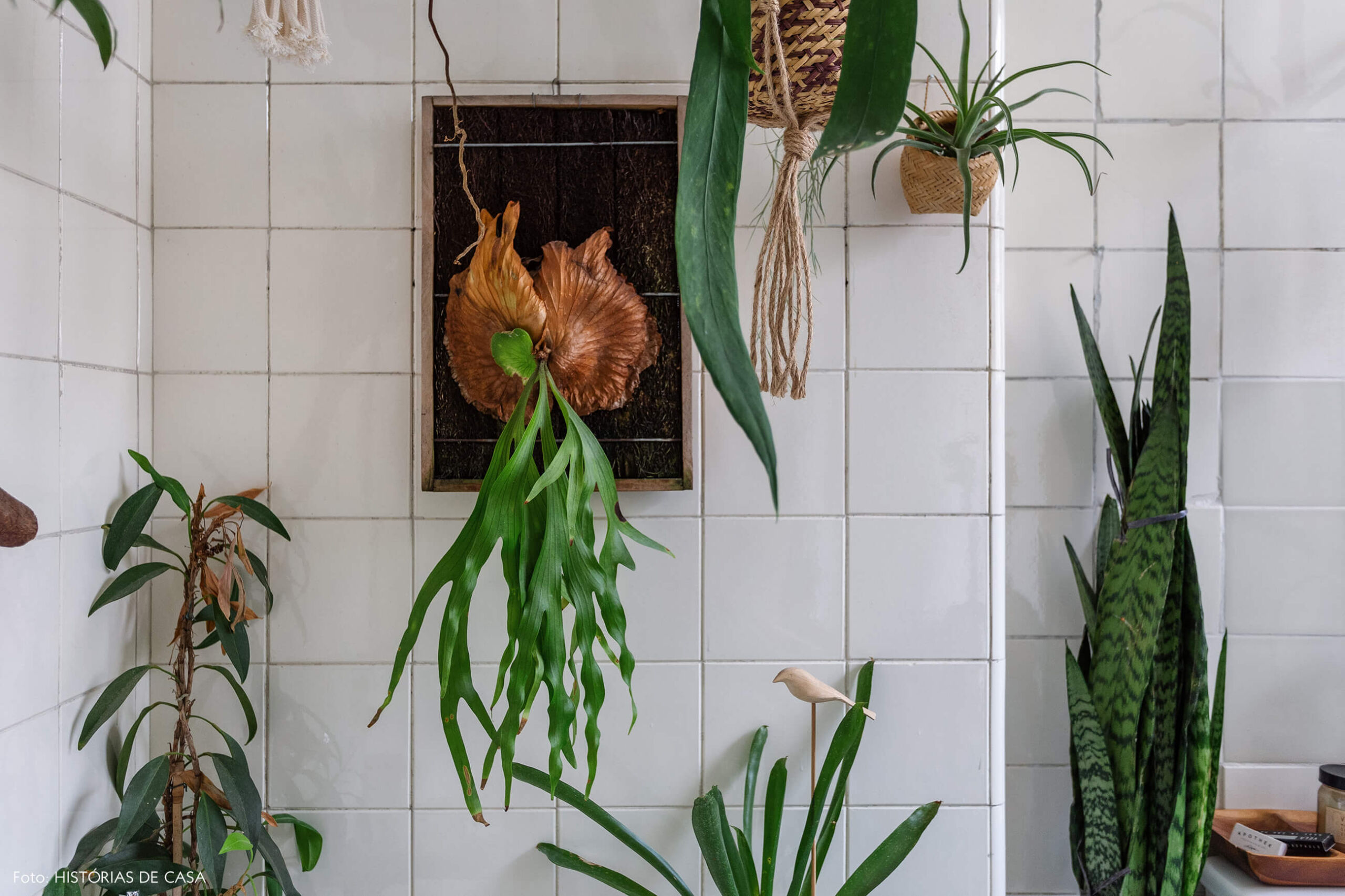 Banheiro vintage com muitas plantas