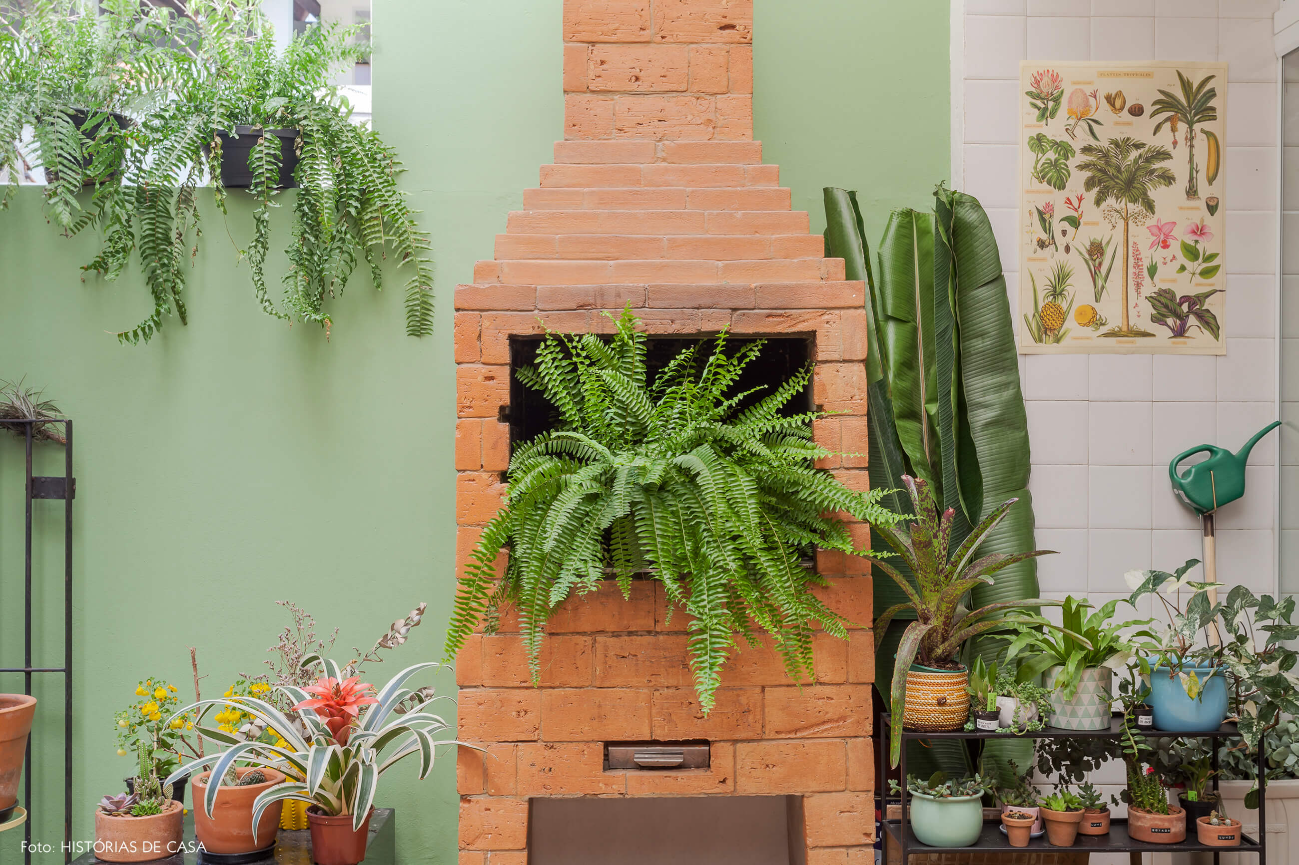 Quintal com churrasqueira e parede pintada de verde