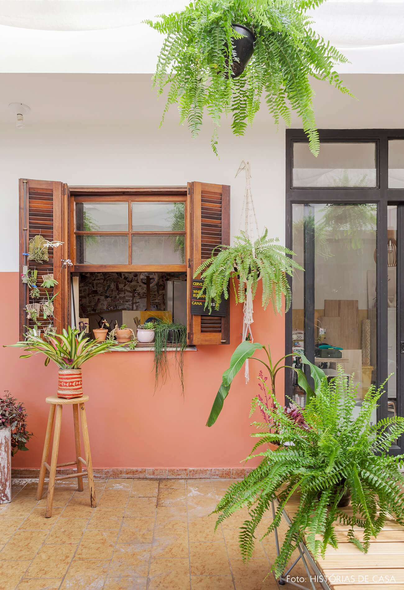 Quintal com meia parede colorida e muitas samambaias