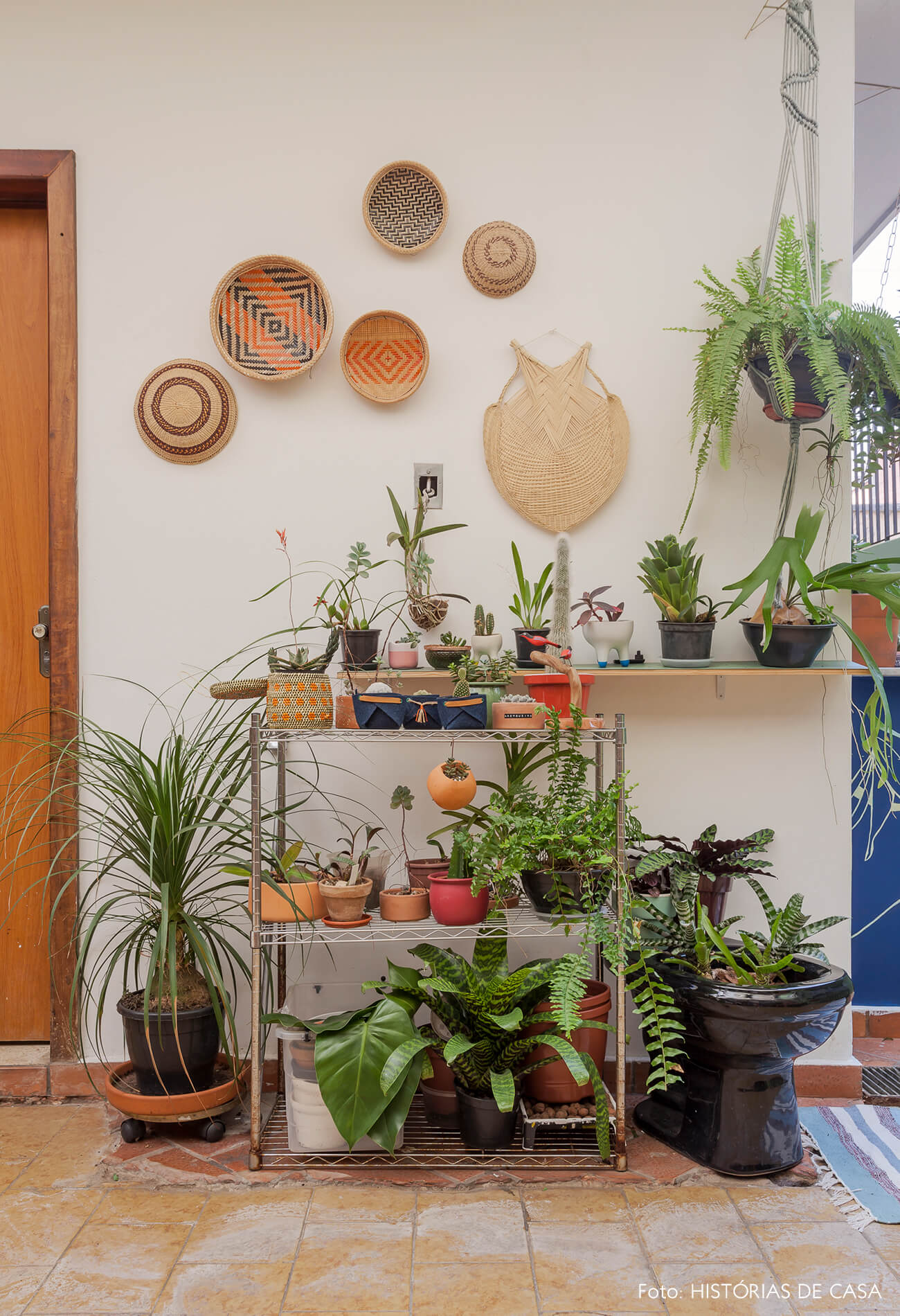 Quintal com muitas plantas e cestos artesanais