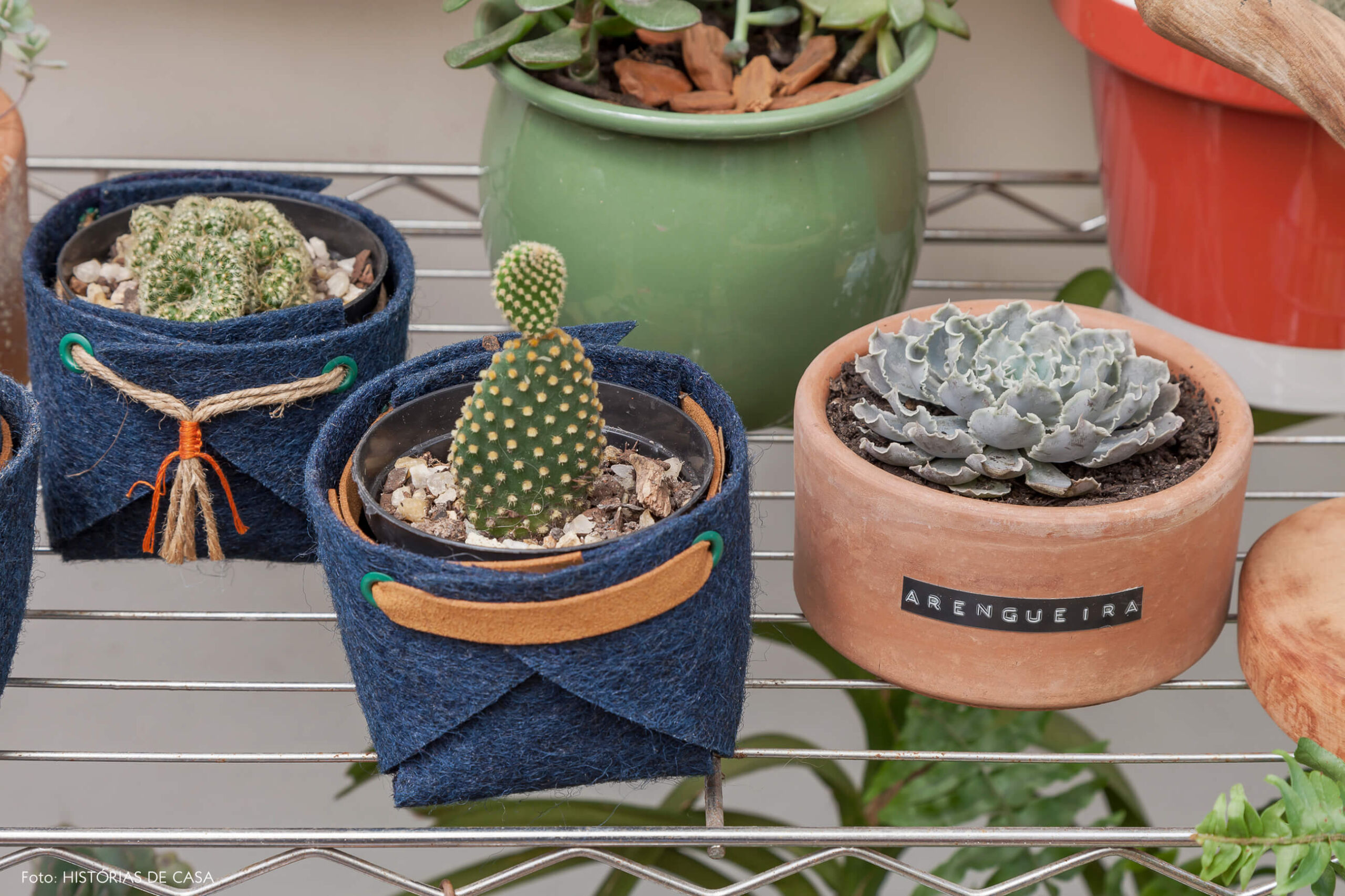 Quintal com muitas plantas e vasinhos de feltro