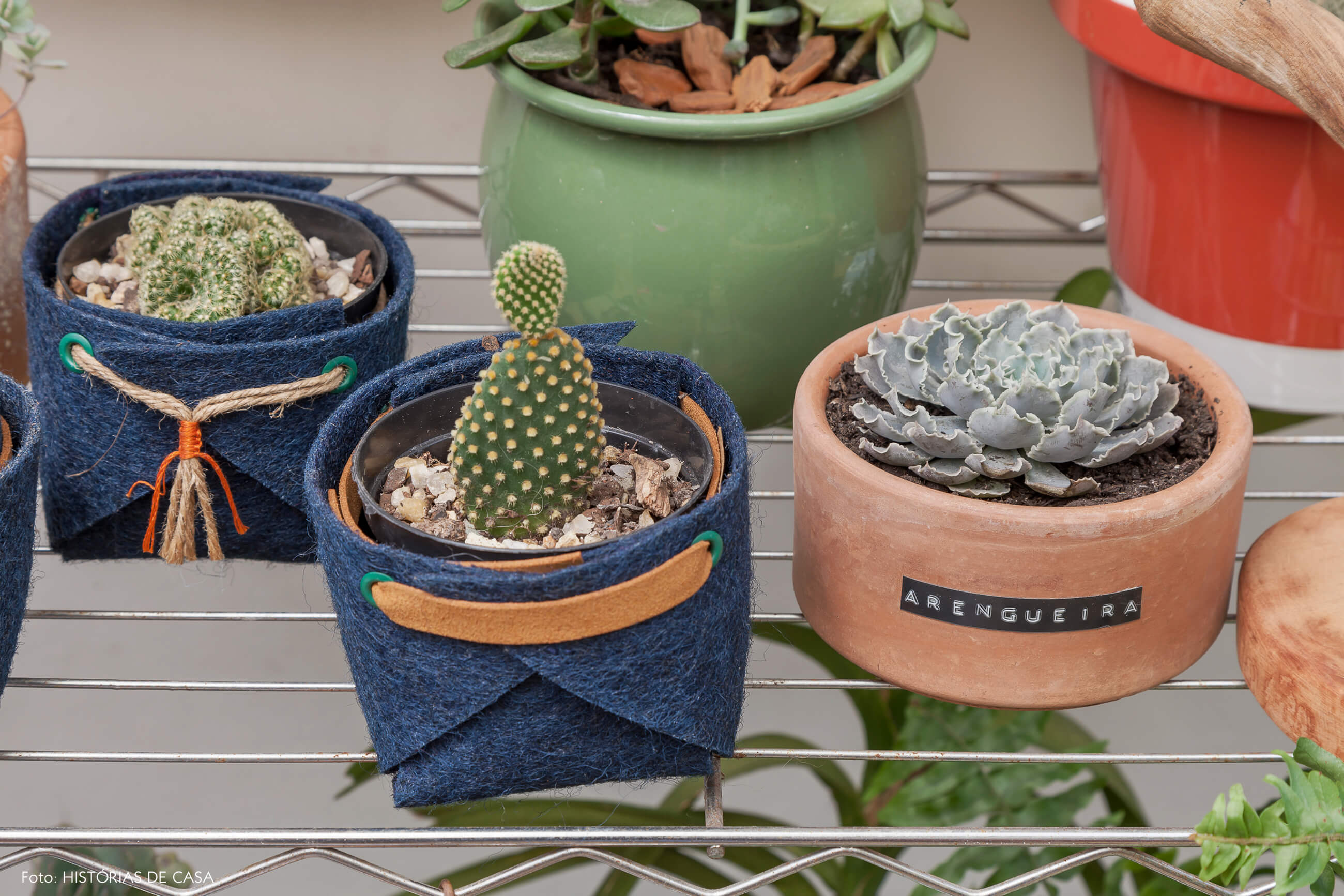 Quintal com muitas plantas e vasinhos de feltro