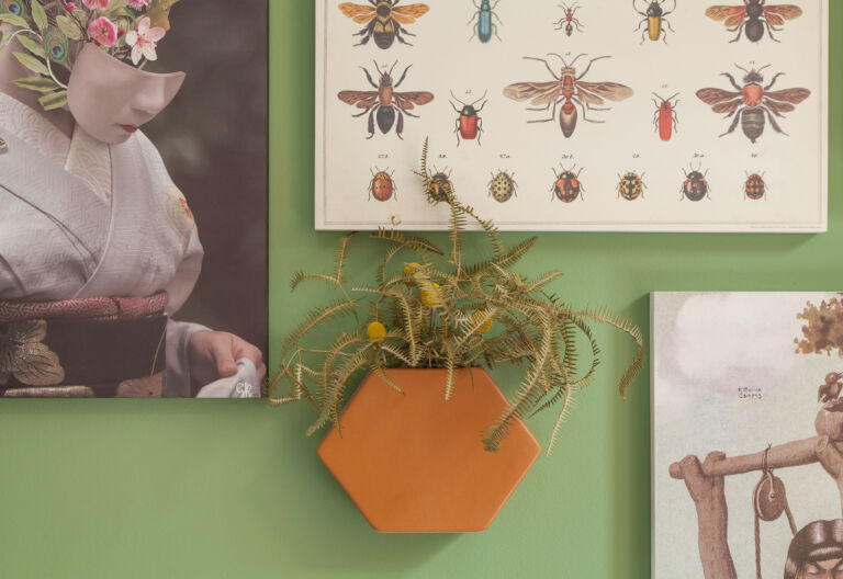 Parede verde com quadros e vaso suspenso