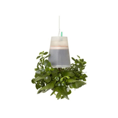VASO SKY PLANTER CLEAR P
