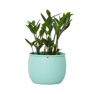 Cachepô pequeno bojudo