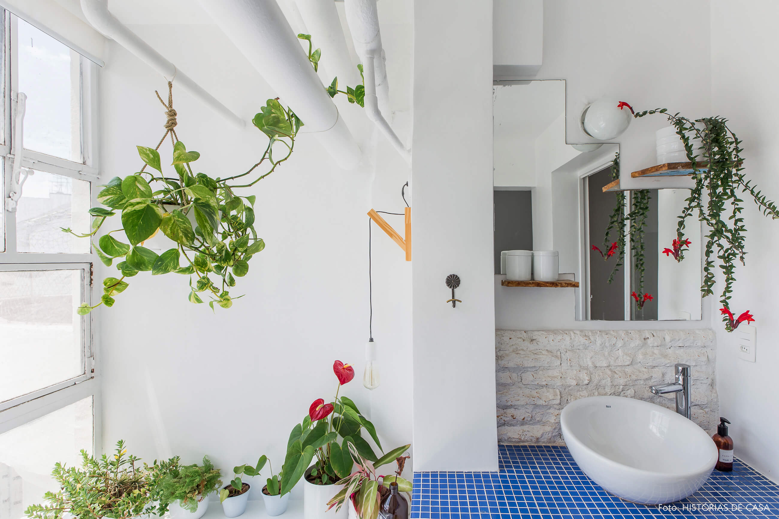 Banheiro com parede de vidro e plantas