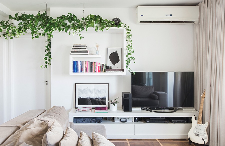 Apartamento com estantes brancas e plantas pendentes Jiboia