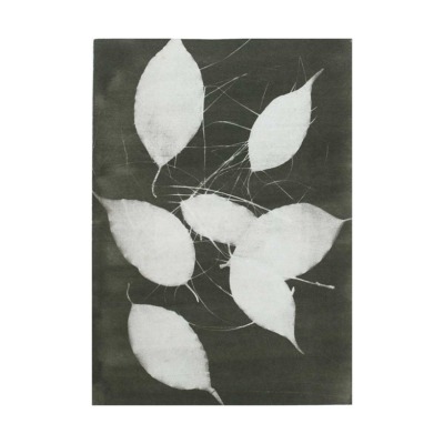 Sem título [Série 'Folhas']