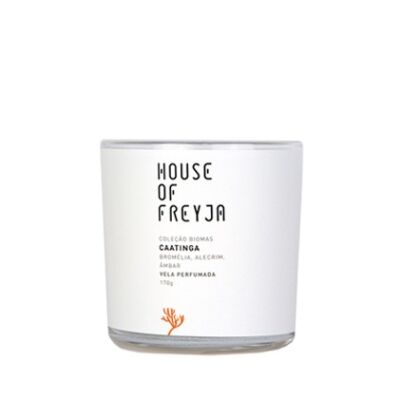 VELA PERFUMADA CAATINGA