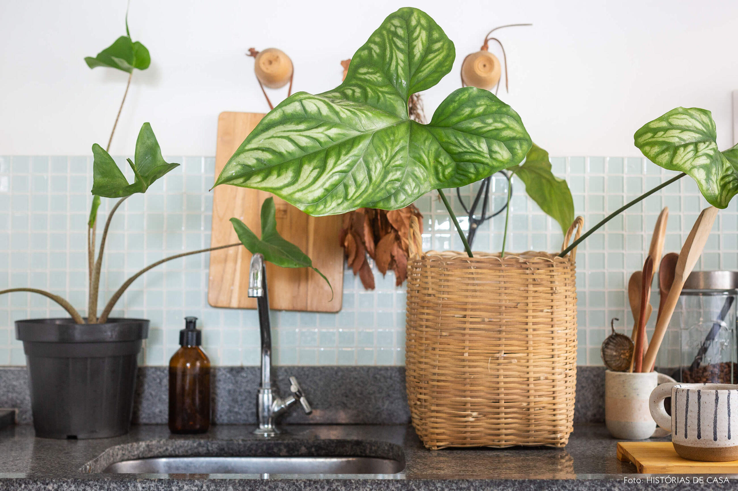 Apartamento pequeno com muitas plantas, até na cozinha
