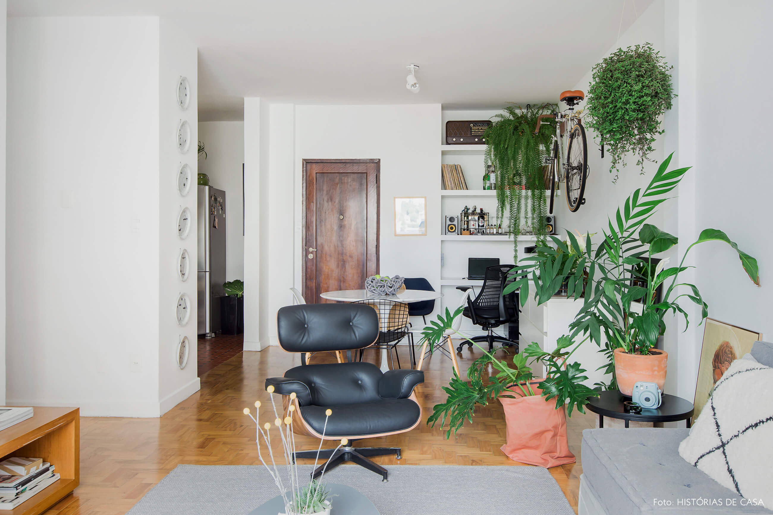 Sala com home office e muitas plantas, samambaia