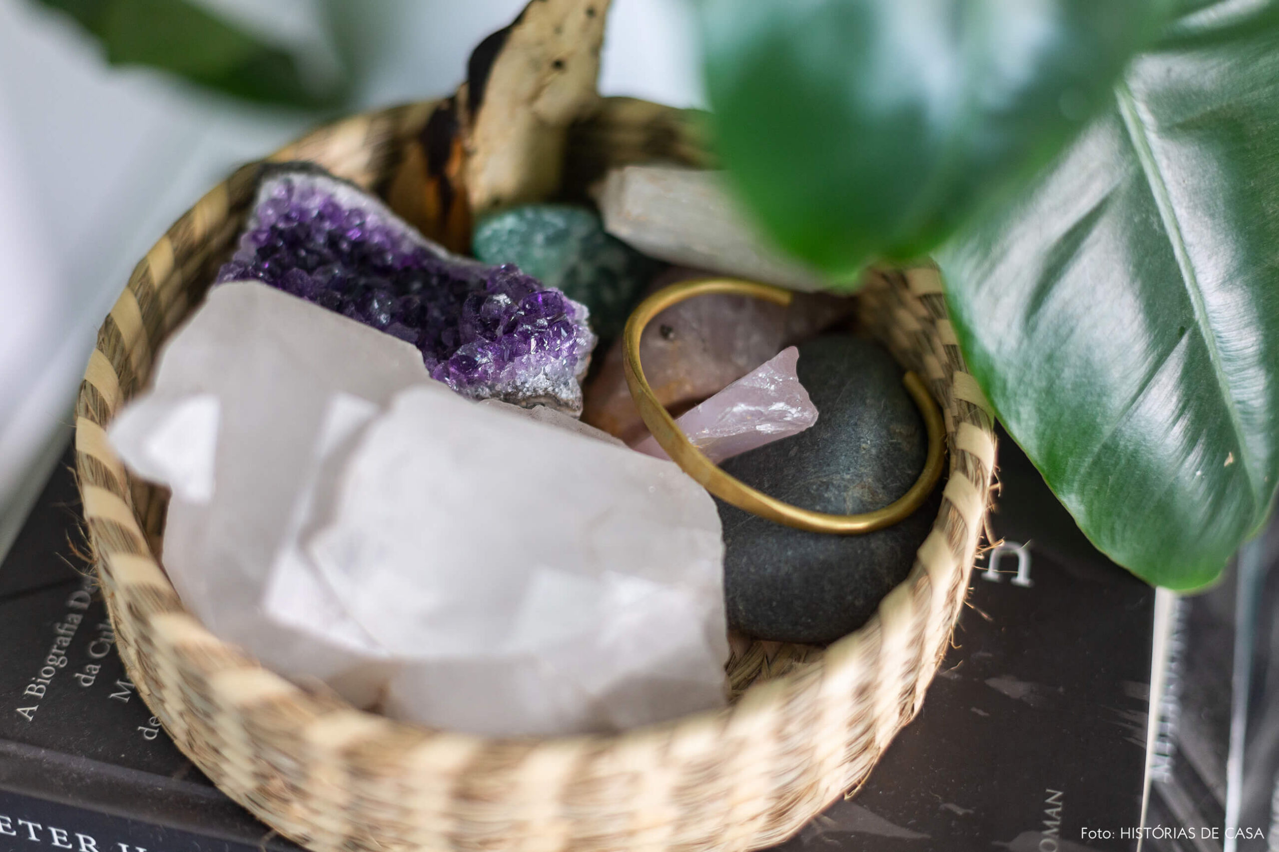 Apartamento pequeno com muitas plantas e cesto com cristais