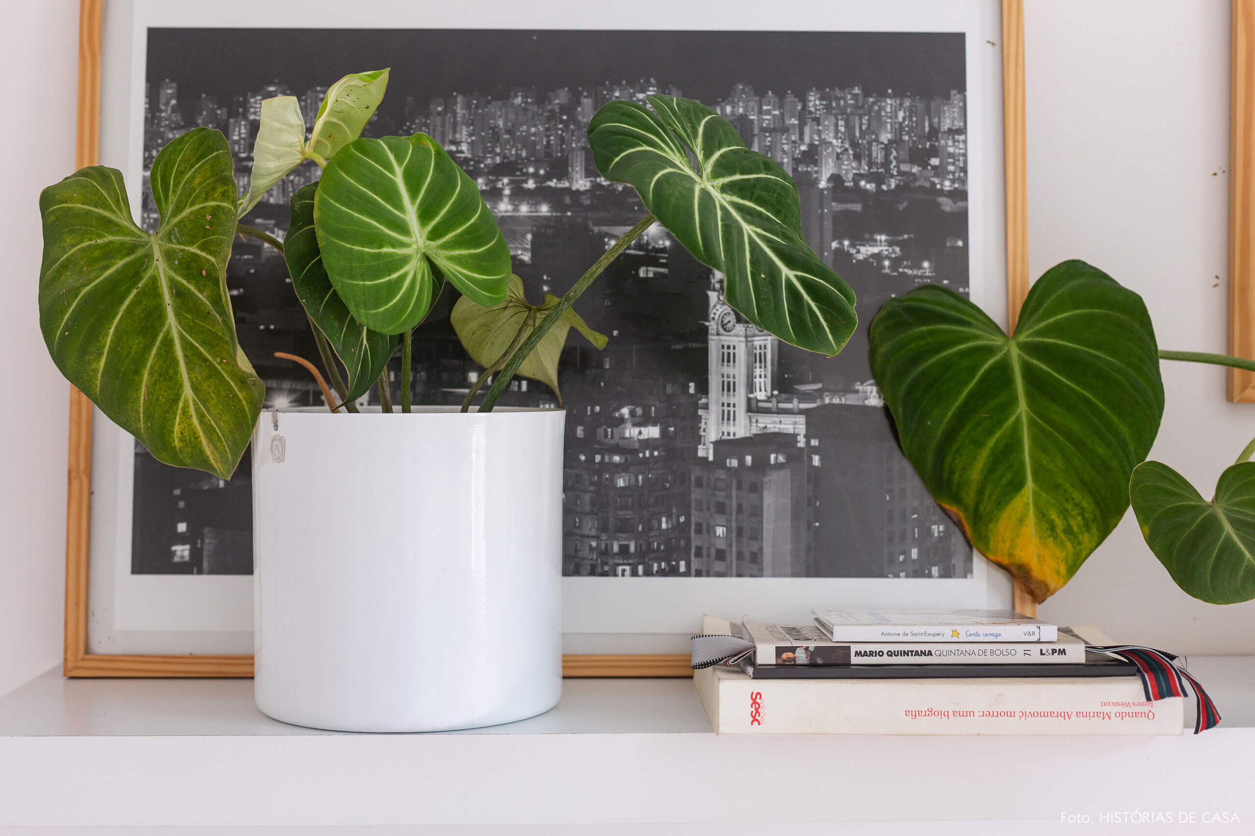 Apartamento pequeno com muitas plantas e cachepôs brancos