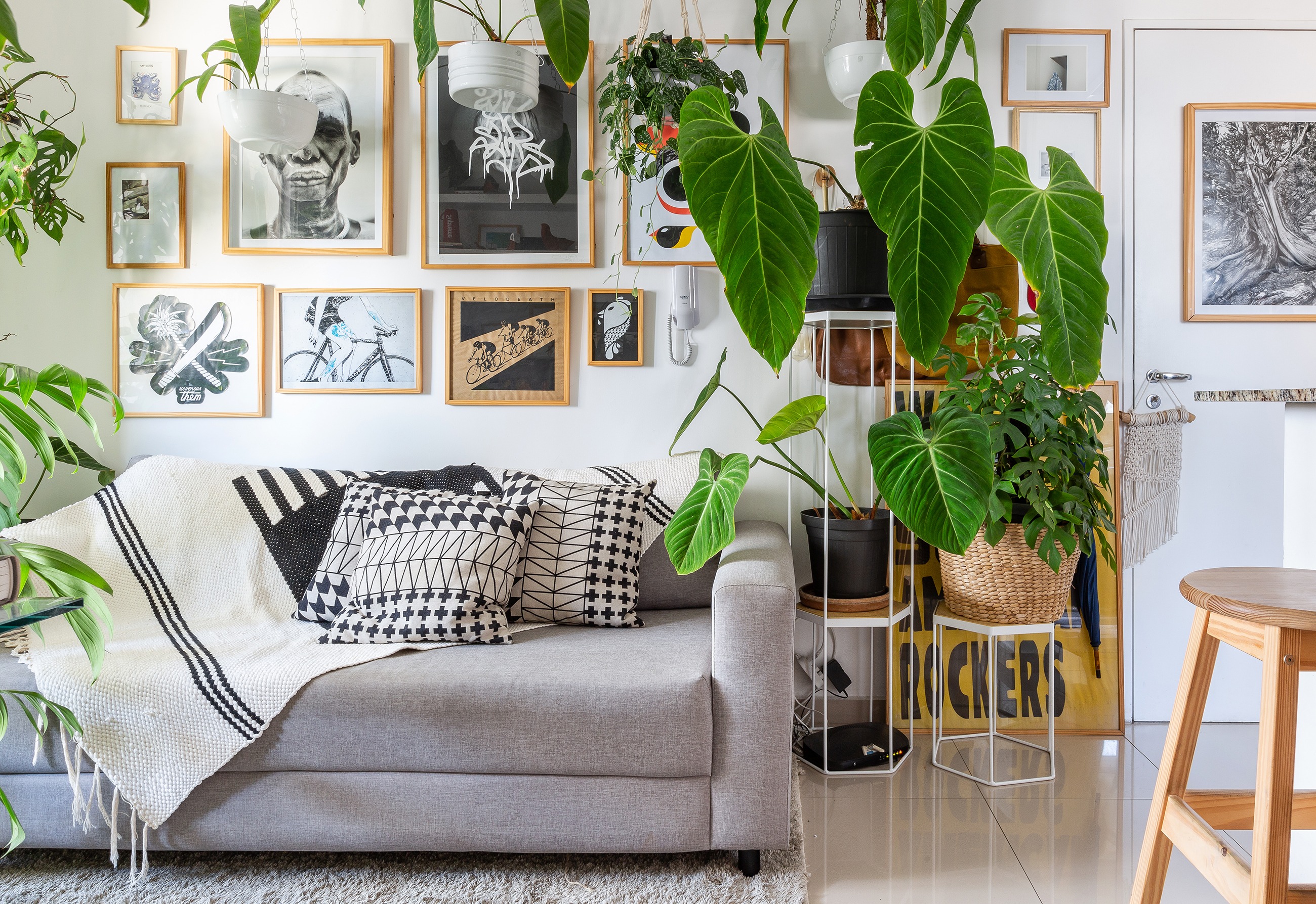 Muitas plantas em um apartamento pequeno | Histórias de Casa ...