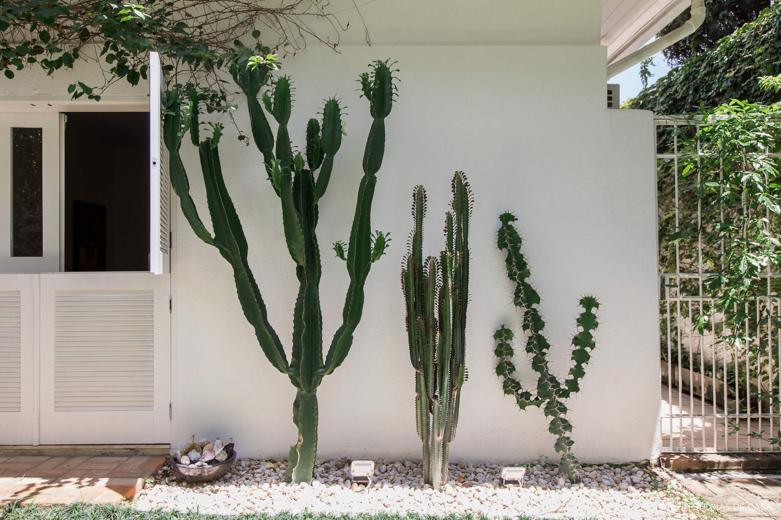 Casa com jardim e canteiro de cactos