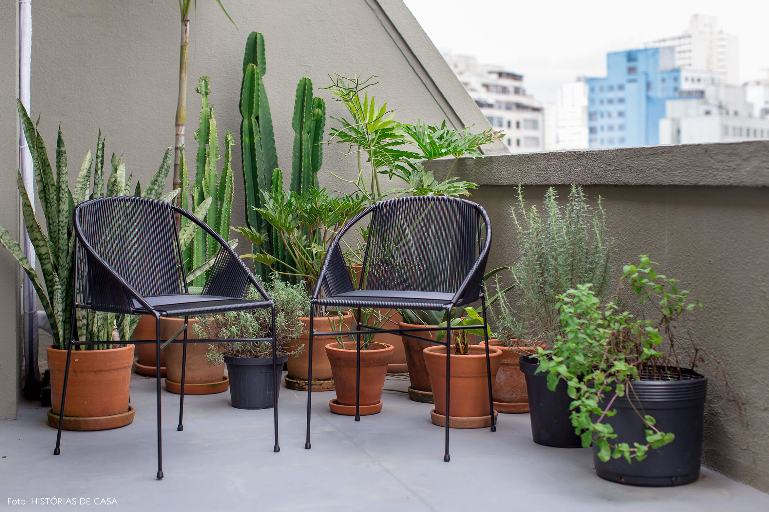 Apartamento no centro de São Paulo com varanda e muitas plantas e cactos