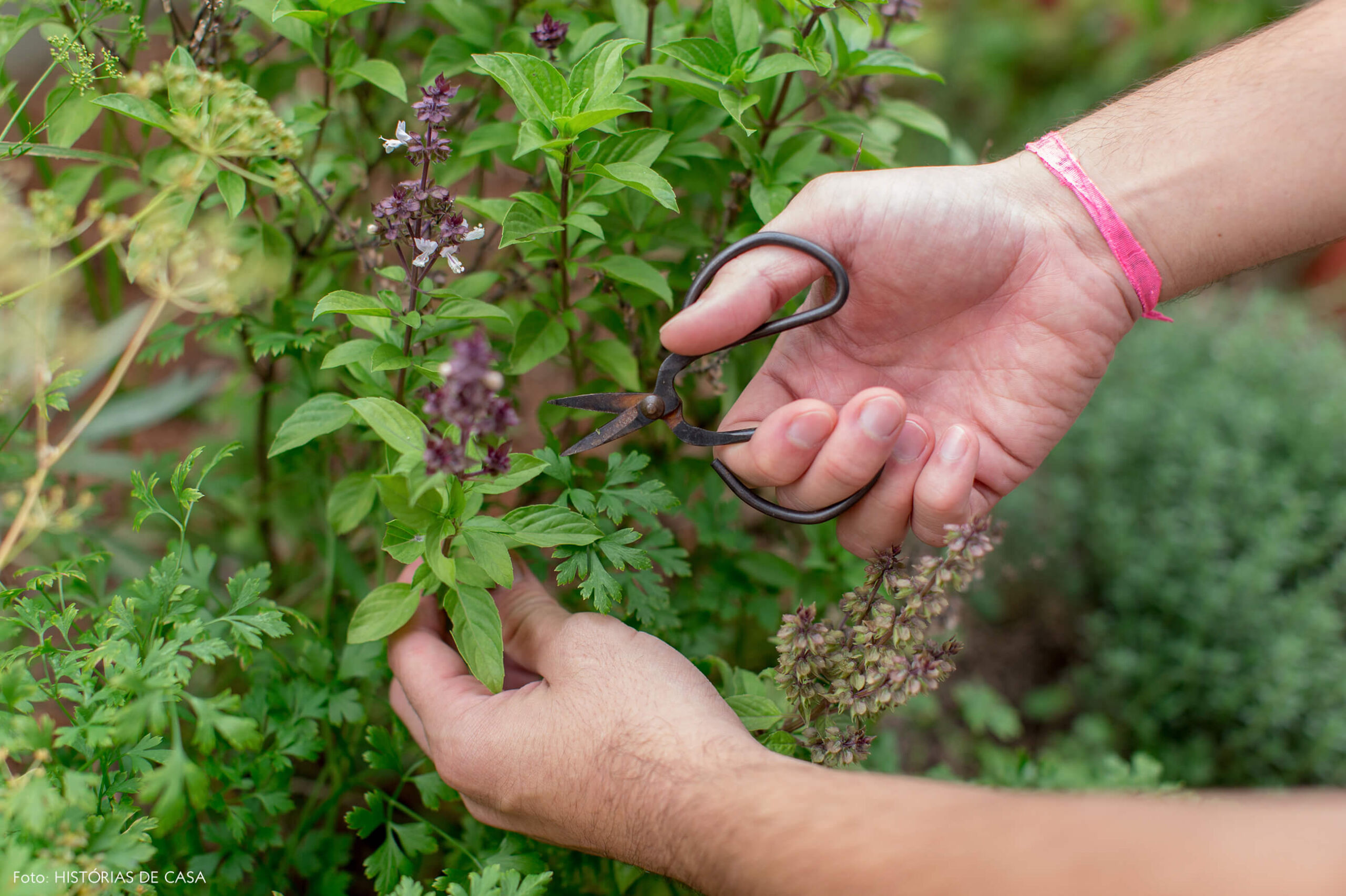 Apartamento no centro de São Paulo com varanda e horta na cobertura