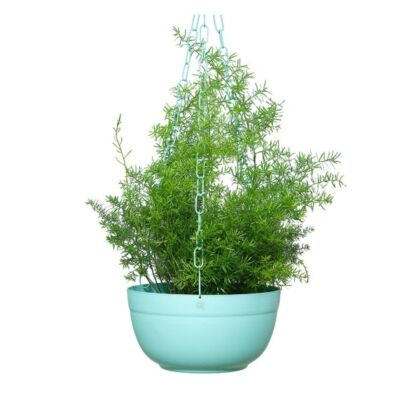 cachepô cuia ø25 liso - corrente