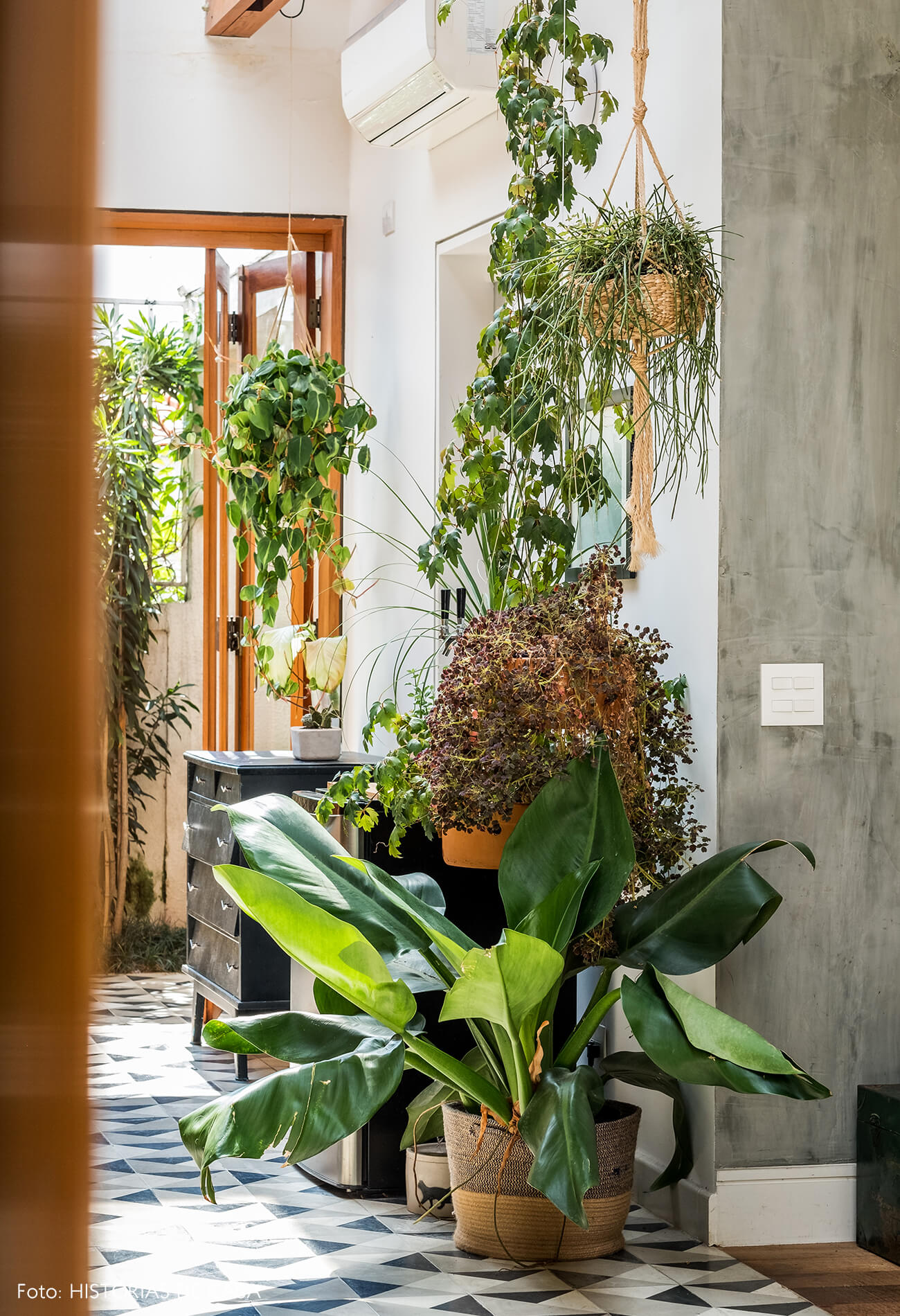 Sala com parede de cimento queimado e muitas plantas