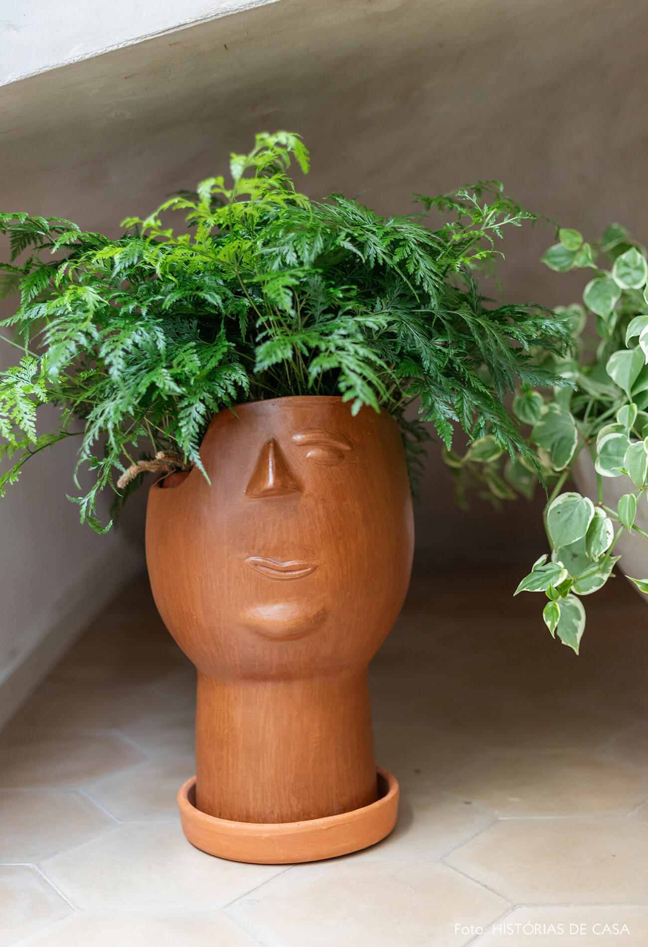 Vaso de barro em formato de cabeça, plantas em casa